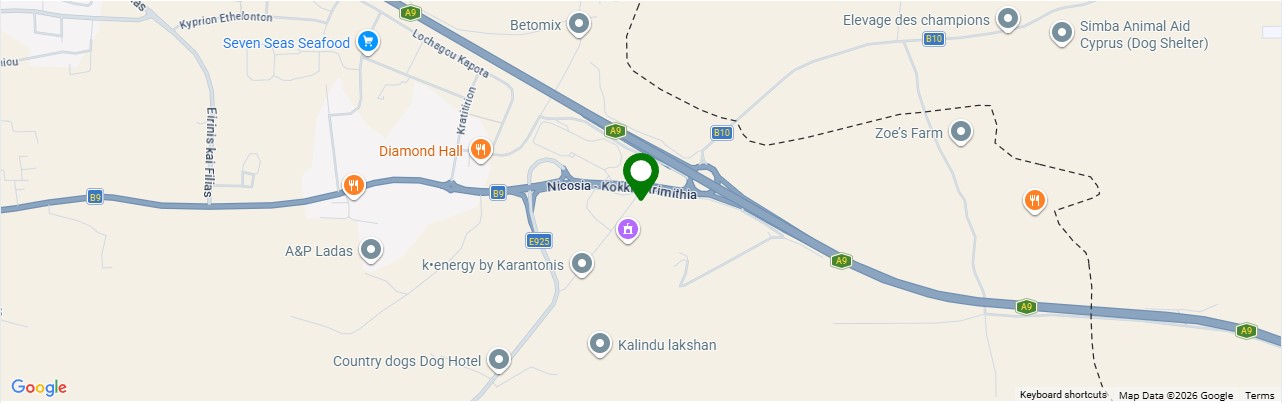 Static map preview of the Edinburgh area